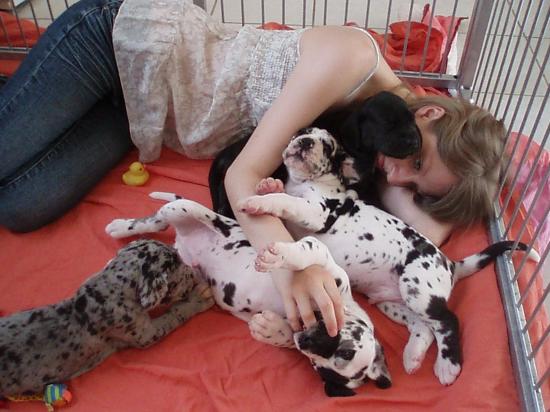 Big hugs with puppies