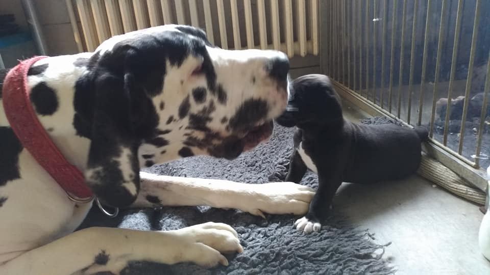 Playing with mum at 3 weeks