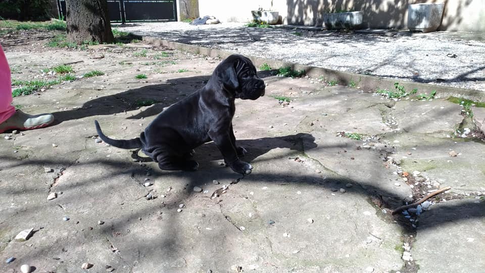 First outdoor playing with mumy at 4 weeks