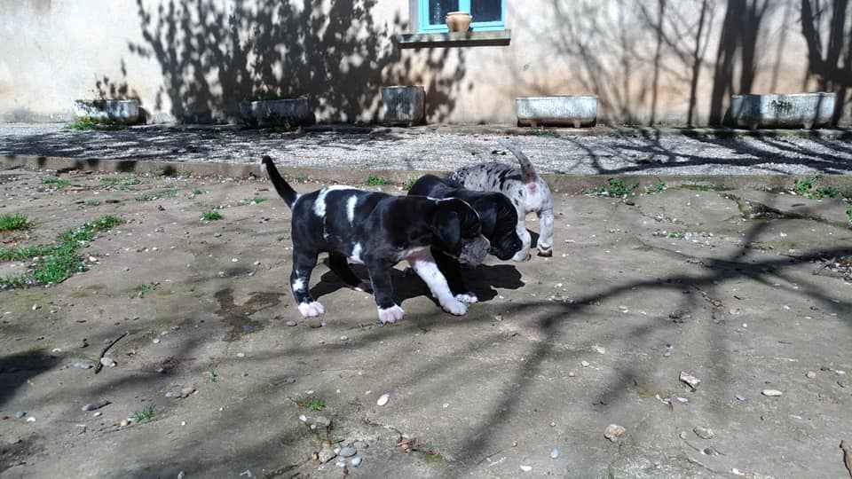 First outdoor playing with mumy at 4 weeks